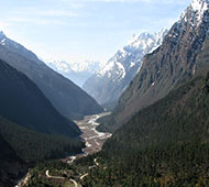 Chopta Valley