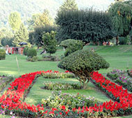 jawaharlal-nehru-botanical-garden